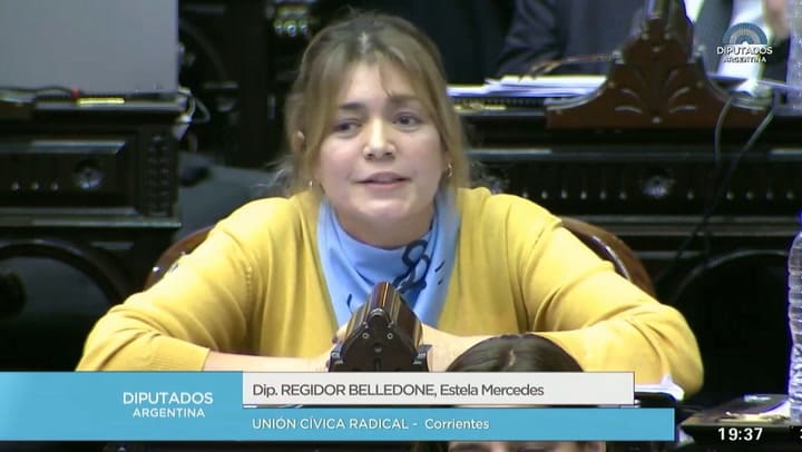Debate por el aborto: La legisladora que comparó mujeres con perros - Fuente: Youtube