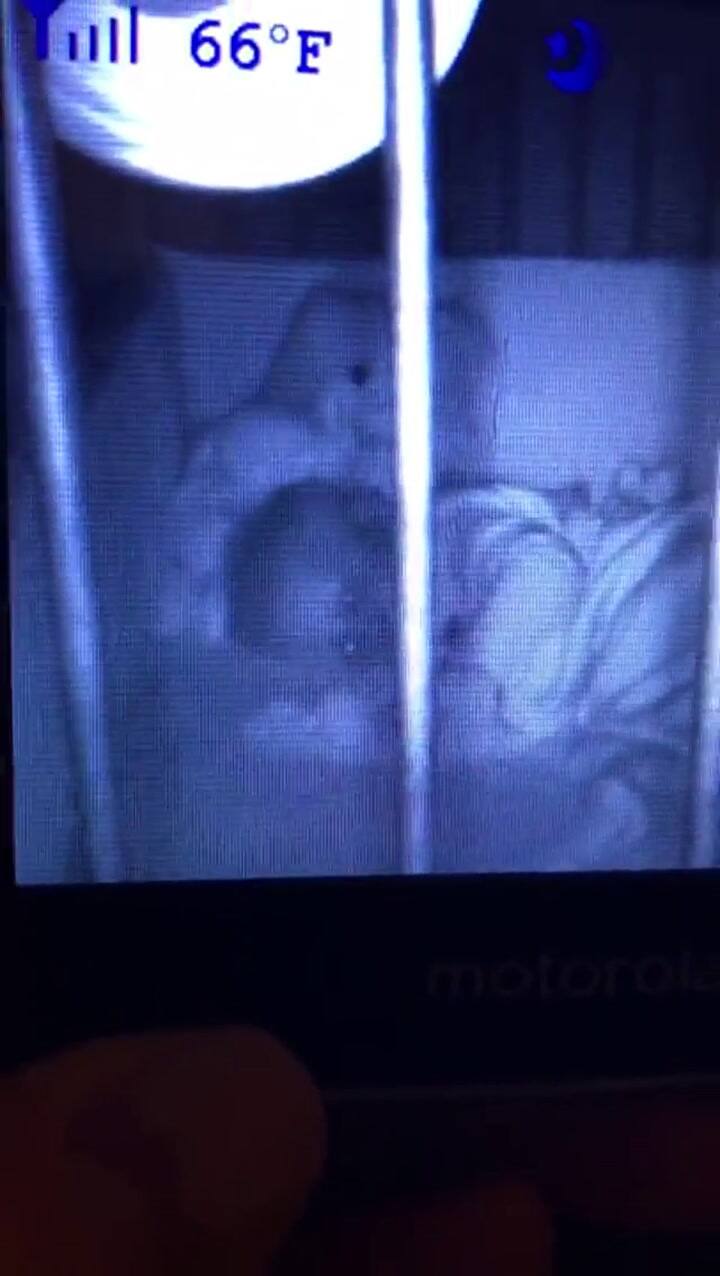 Un oso de peluche se mueve y abraza a una bebé mientras duerme - Fuente: Youtube