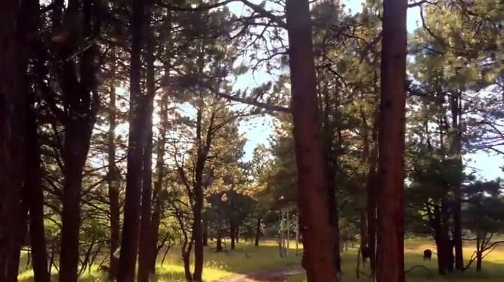 Daryl Hannah dirige a su marido Neil Young en el film Paradox - Fuente: Netflix