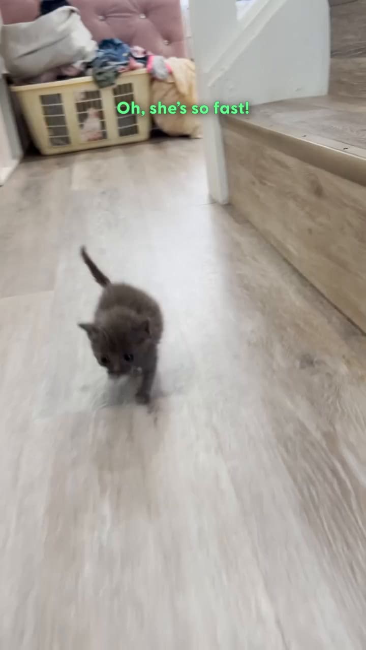 De un diagnóstico sin esperanza a una historia que conmovió a todos