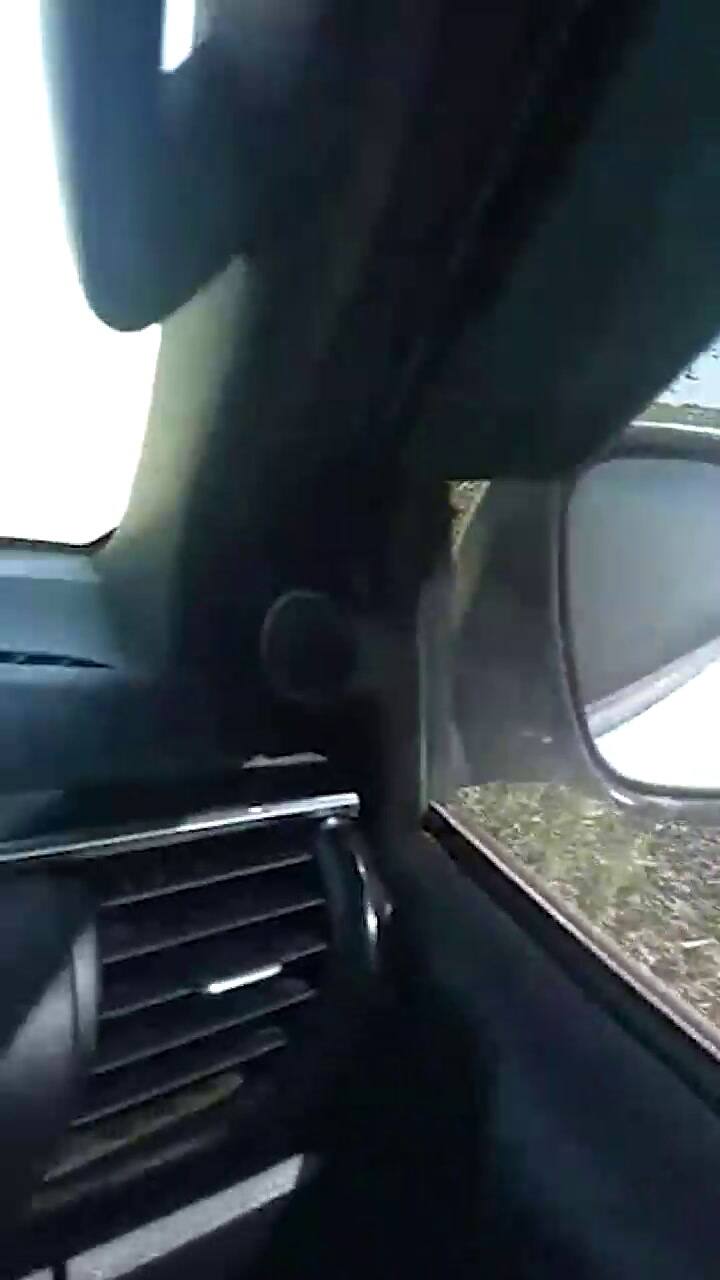 Córdoba ya sufre el paso de una manga de langostas