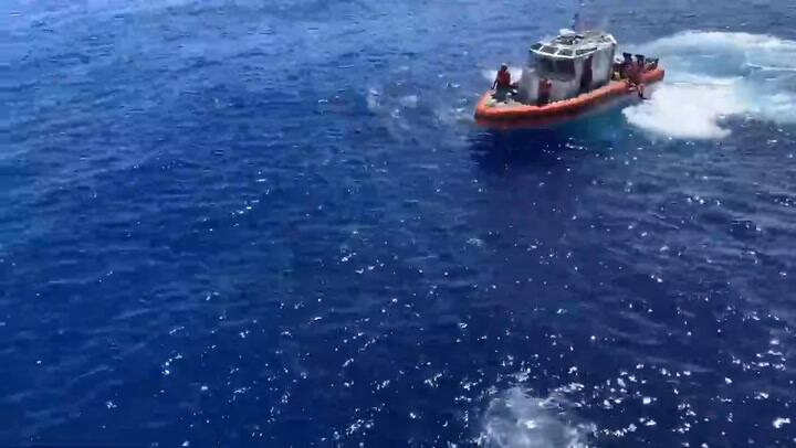 Un miembro de la Guardia Costera de los Estados Unidos le dispara a un tiburón - Fuente: YouTube