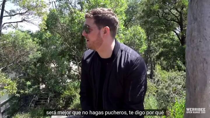Michael Bublé le canta a los gorilas - Fuente: Youtube