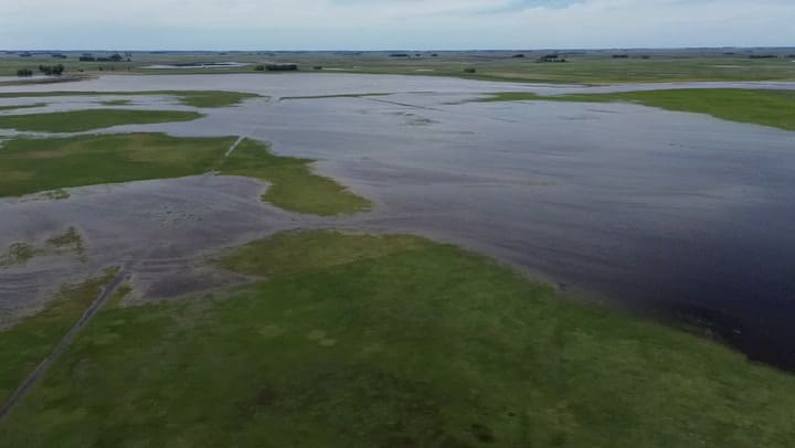 Campos bajo el agua en la zona de Bolívar y Daireaux