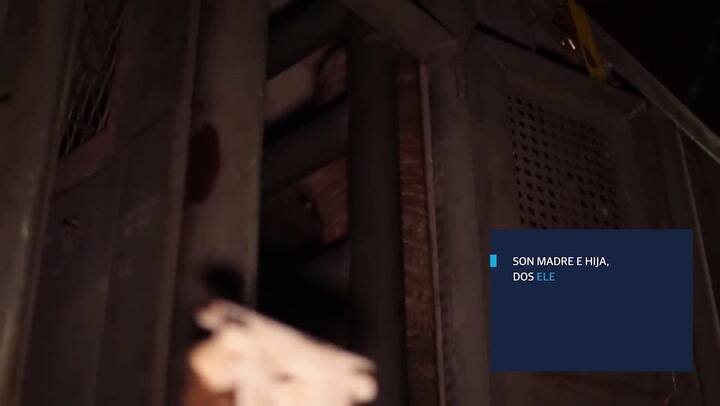 Las elefantas ‘Pocha’ y ‘Guillermina’ llegaron a su nuevo hogar en Brasil/Crédito: Clara de Estrada