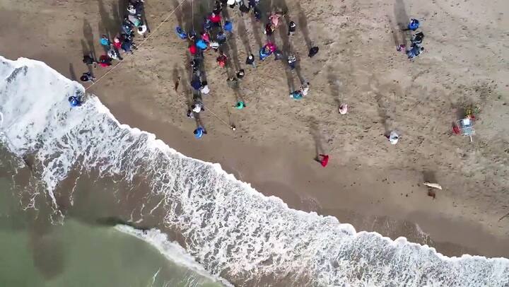 Así liberaron al mar a 9 pingüinos magallánicos - Fuente: Youtube