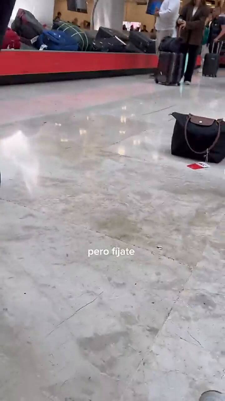 Una joven se reencontró con su familia después de que le dieran la green card