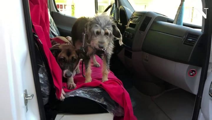 Maqueta real en el motor home