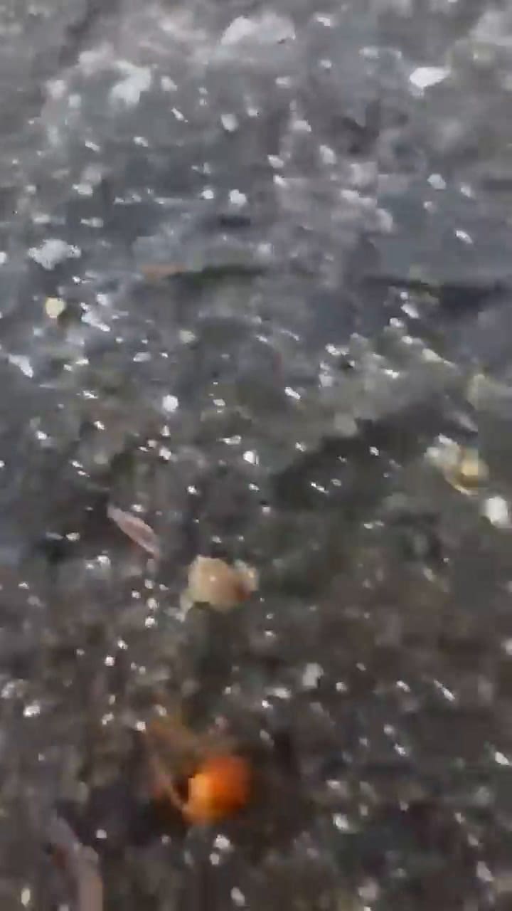 Un piloto grabó el momento en que su avioneta se estrella contra una autopista en Panamá