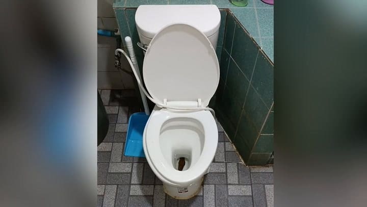 El joven filmó a la serpiente con el celular