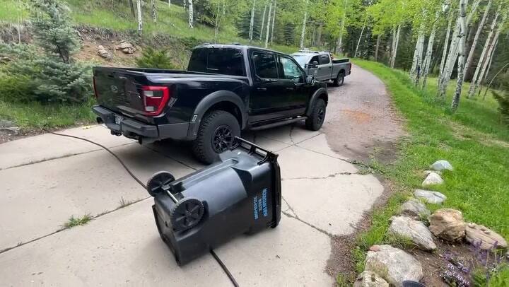 Un oso entró a robar comida para perros a una camioneta y no logró escapar