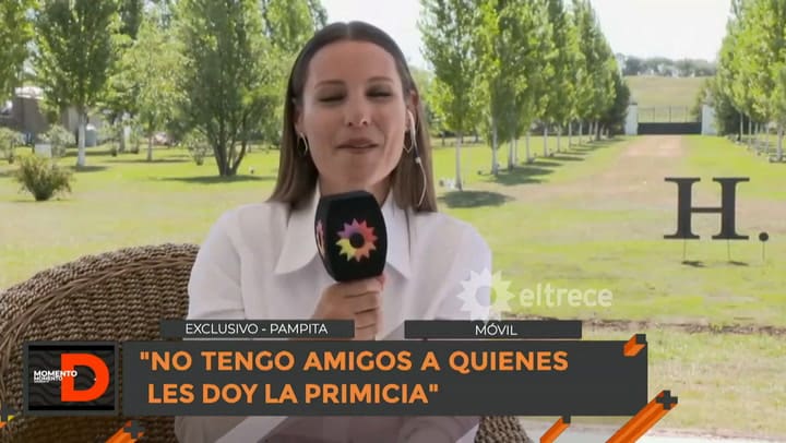 Pampita habló sobre el noviazgo de Benjamín Vicuña y Eli Sulichin