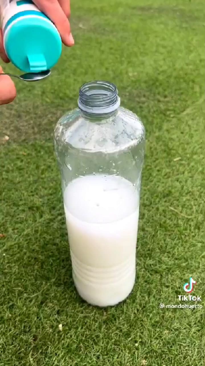 Cómo hacer un fungicida casero