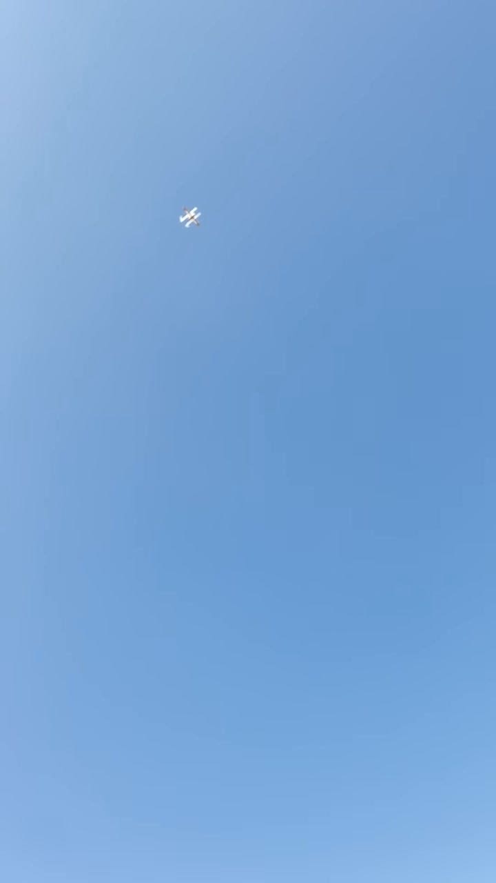 Un cuervo atacó un drone que repartía un paquete con café en Australia