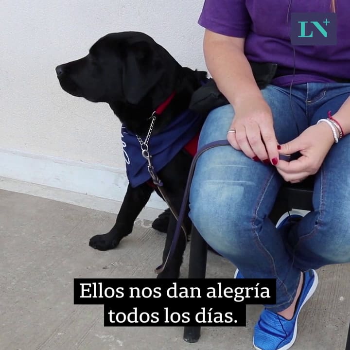 Nuria e India: Es cuadripléjica y gracias a una perra de asistencia logró más autonomía