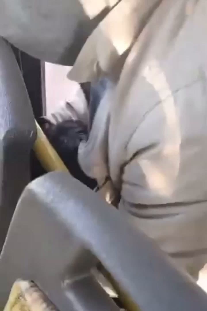 Un delincuente fue reducido cuando quiso robar arriba de la línea 504