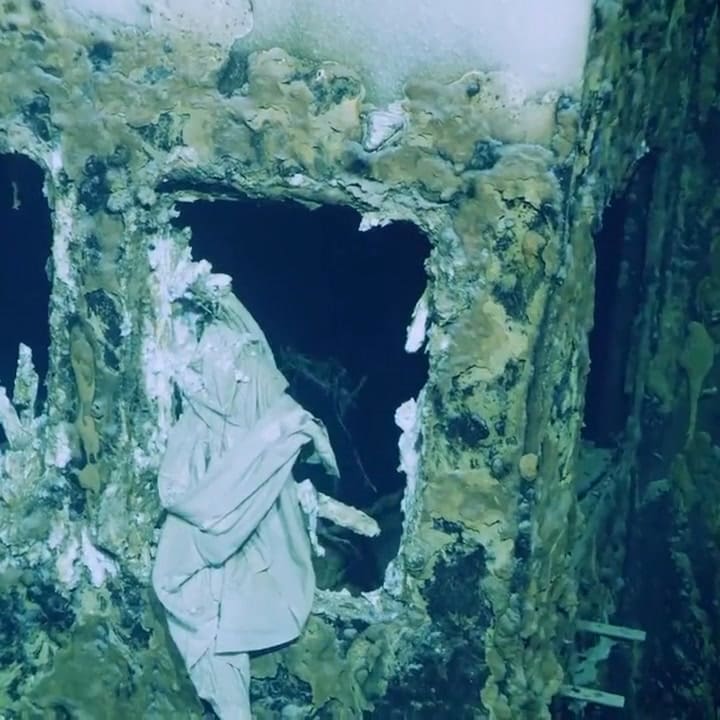 Captan un calamar gigante alrededor de un naufragio a unos 850 metros de profundidad en el mar Rojo.