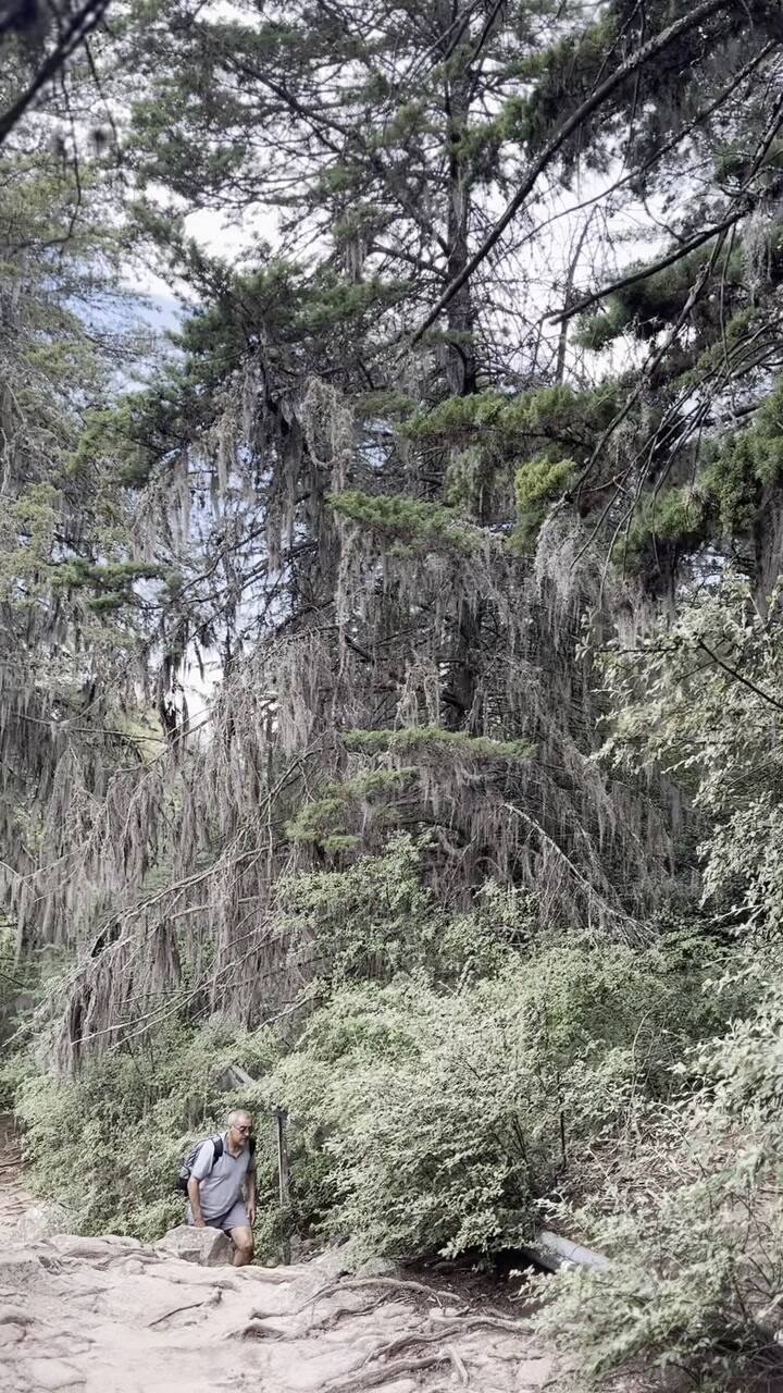 Bcc358b2a06f4be089a379582f66699e