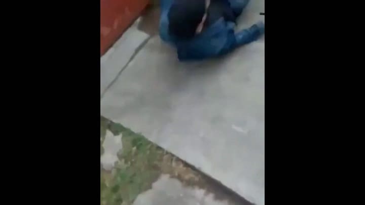 Trabajadores de un frigorífico agredieron a un grupo de veganos - Fuente: Twitter