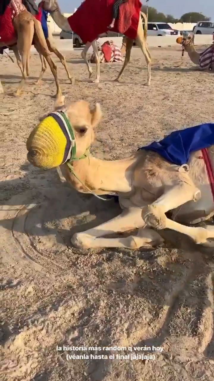 Flor Jazmín Peña decidió no hacer una excursión en Qatar y contó el por qué