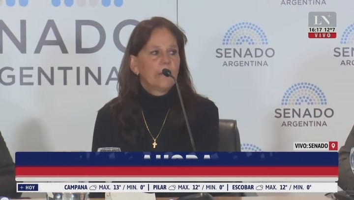 La madre de Chano expone sobre adicciones en el Senado: 'Hace seis días no veo a mi hijo'