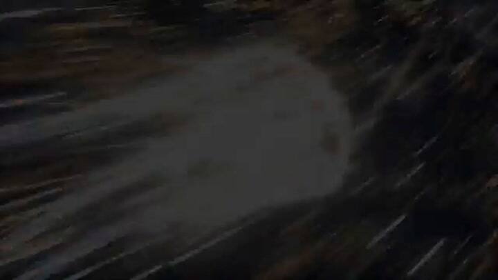 Zendaya disfrutando del partido entre Serena Williams y Anett Kontaveit