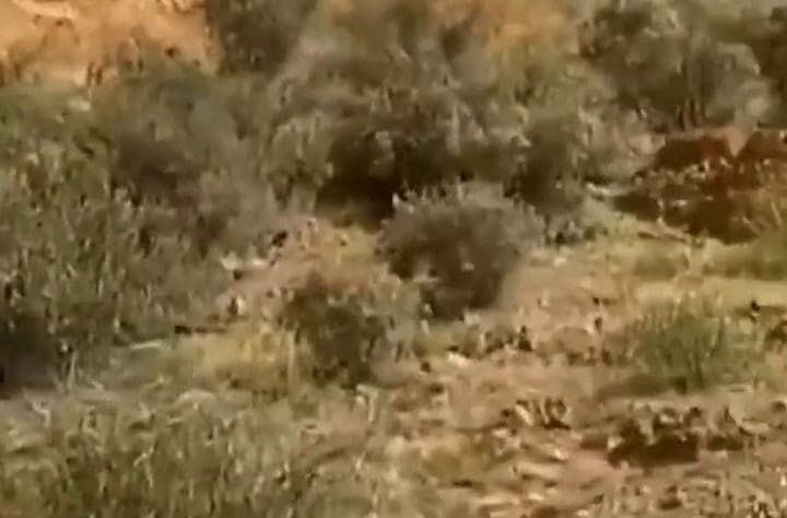 El balance del sismo que sacudió a La Rioja: derrumbes de casas, grietas en el suelo y temor entre los vecinos