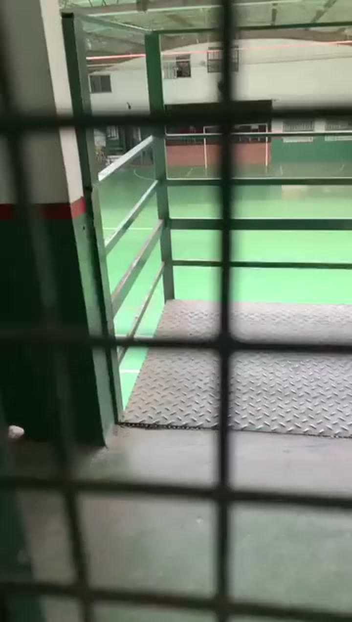 Le disparó a palomas en el patio de una escuela de Longchamps