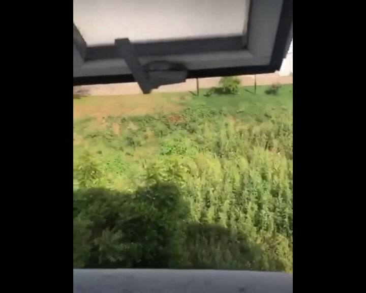 Fuertes tiros en Sinaloa