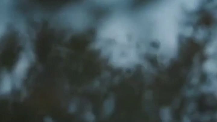 Donald Trump Jr, foco de críticas en Italia por cazar aves protegidas