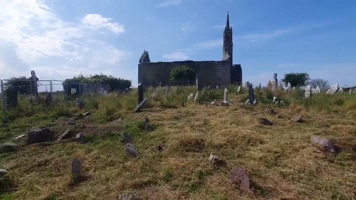 Un rebaño de ovejas descubre una tumba de hace 150 años