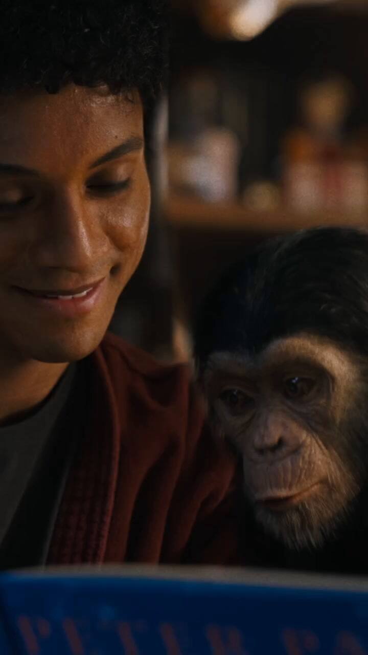 Hay una gran expectativa a nivel mundial por la película