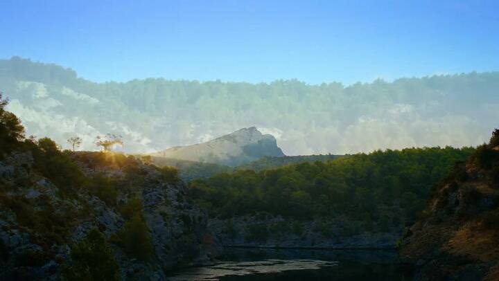 Tráiler de la película Cézanne. Retratos de una vida