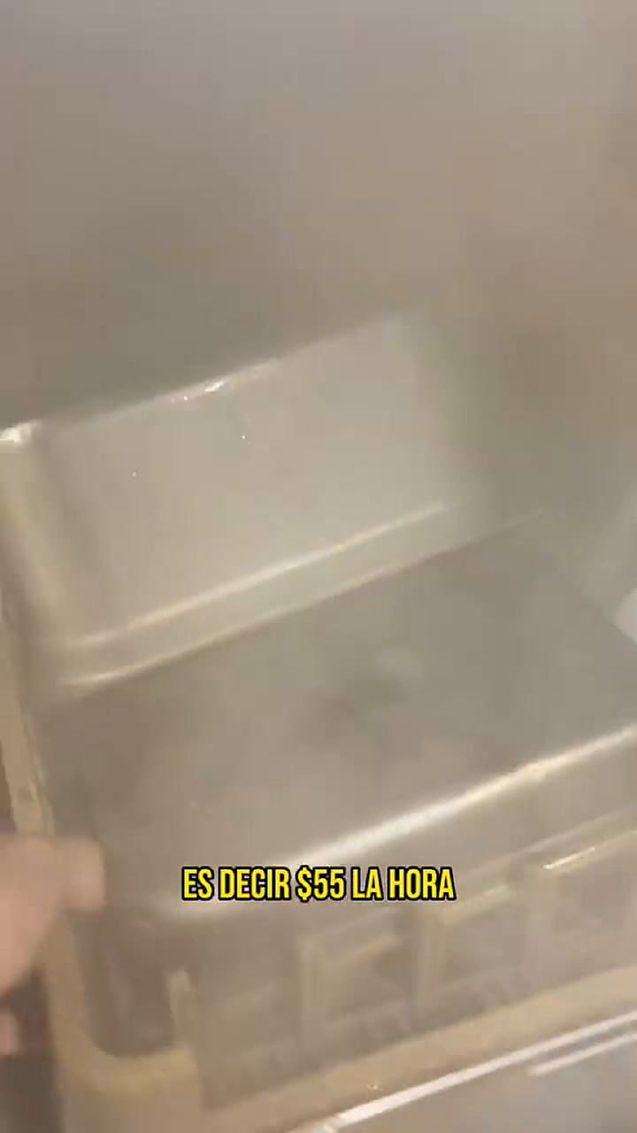 Esto es lo que gana un argentino lavanto platos en Australia