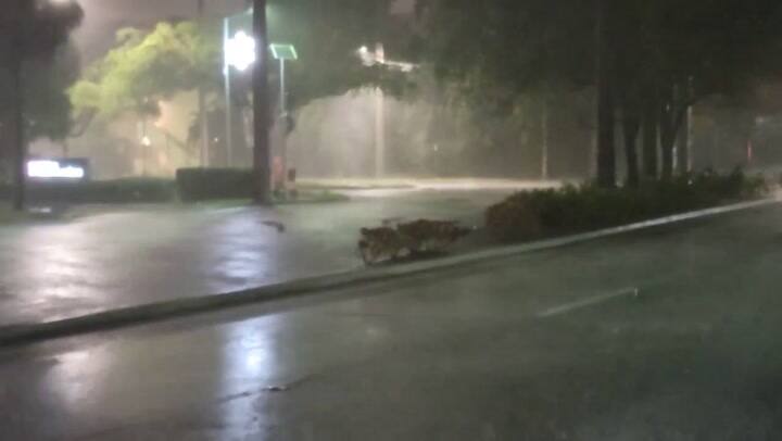 Miami Lluvias