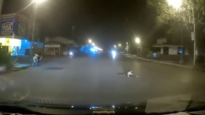 Vecinos patean y golpean a una serpiente pitón para salvar a un gato - Fuente: YouTube