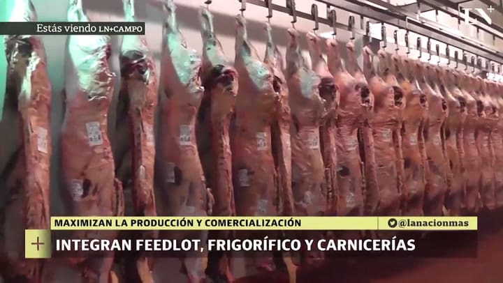 ¿Cómo funciona un frigorífico por dentro?