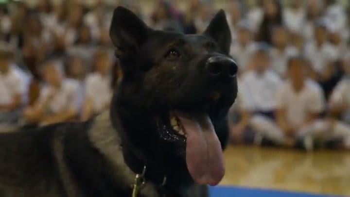 2019 Hero Dog Awards Law Enforcement Arson Hero Dog - Dax