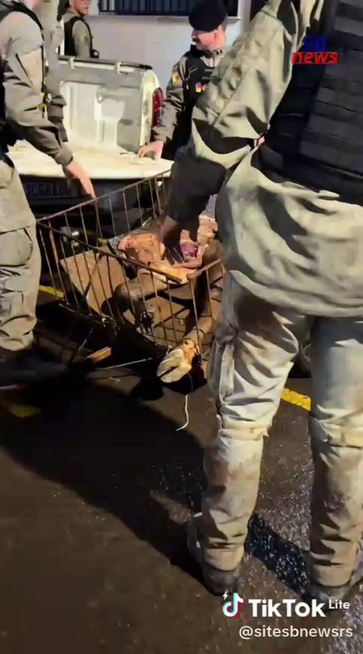 Un periodista de Brasil relata las detenciones por el robo de hacienda argentina