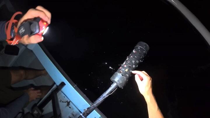 Al retirar la cámara, la misma trajo consigo a un crustáceo