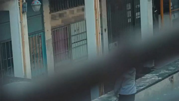 Neo Pistea - Criminal