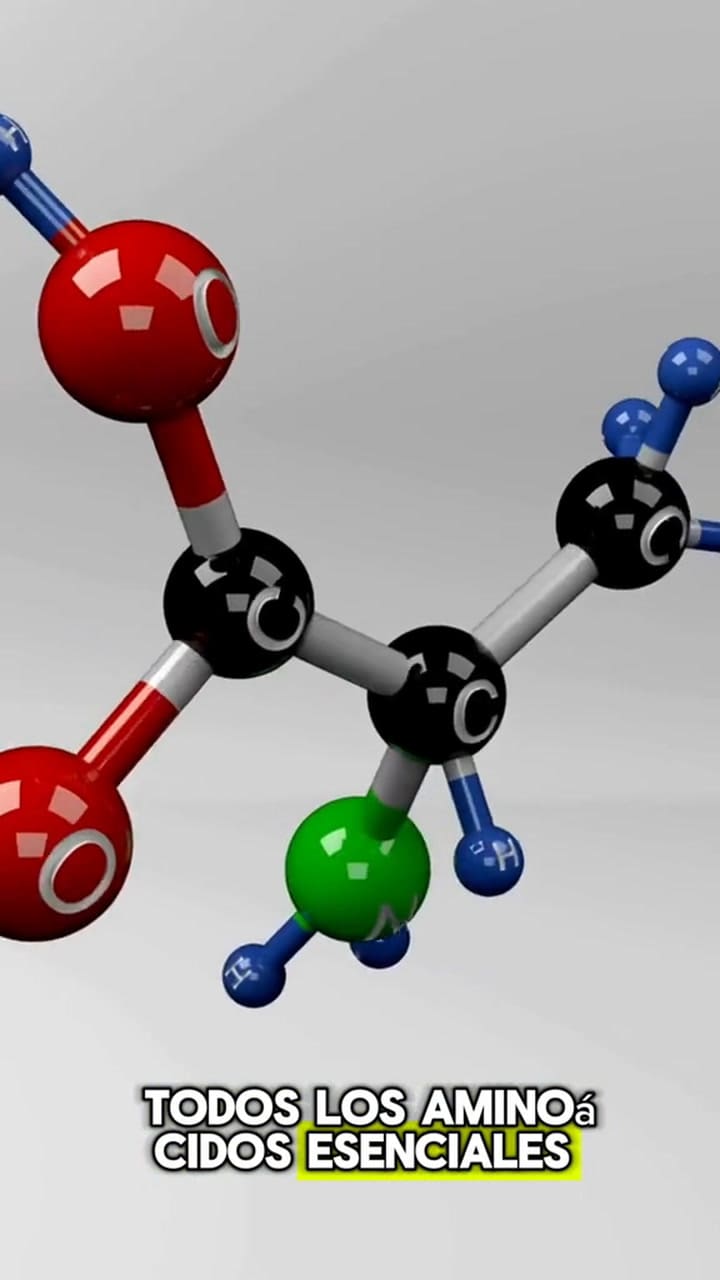 Todos lo beneficios nutricionales de las semillas de cáñamo