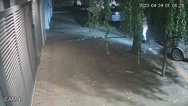 Terror en La Plata: atraparon a una pitón enroscada en la reja de una casa