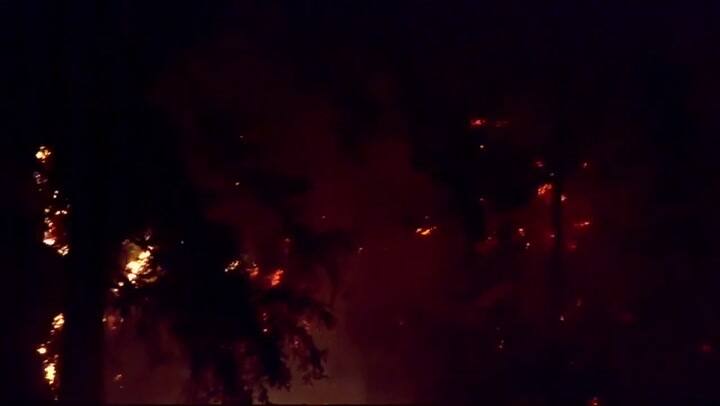 Un mecánico 'suicida' roba avión vacío y se estrella en Seattle - Fuente: AFP