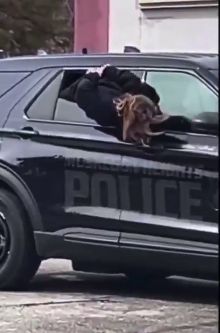 Mujer escapa de un patrullero en Michigan