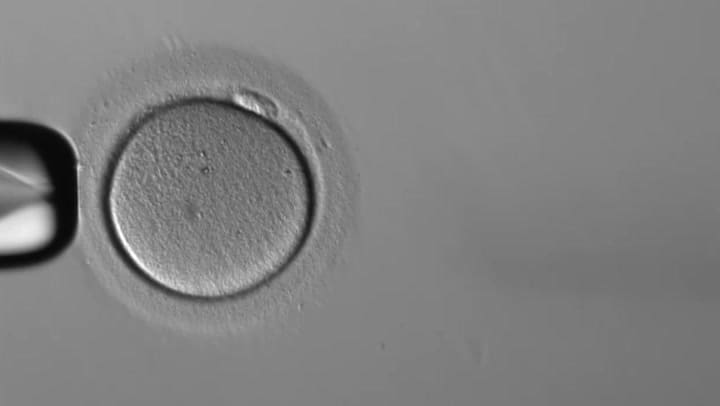 El proceso robotizado de fertilización asistida creado por Overture Life