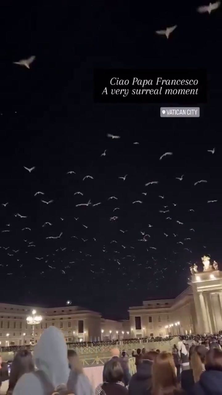 Centenas de aves sobrevolaron el Vaticano