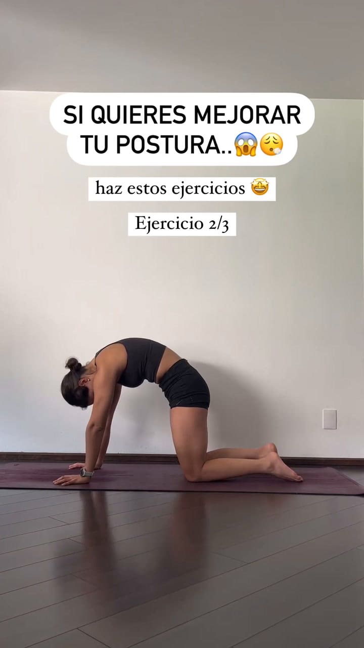 Ejercicios Que Te Ayudarán A Fortalecer Tu Espalda Y Abrir Hombros Para Mantener Una Mejor Postura