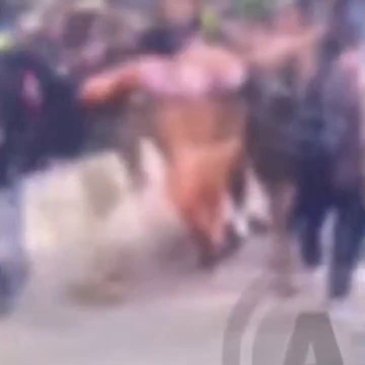 GIF Una ladrona tucumana fue golpeada en Bolivia
