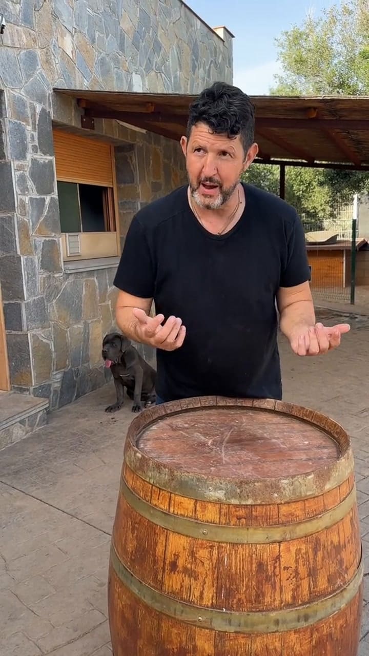 Este es el remedio casero que elimina el olor de orina de perros y gatos de la casa